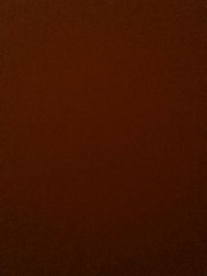 xcocos_blogx's profile picture. 