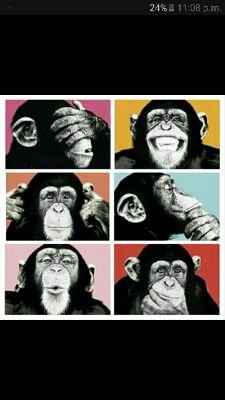 AseelAl's profile picture. I'm on a constant search for my potentials.