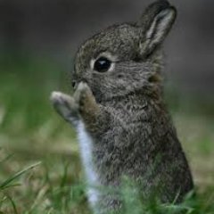 uberdorky's profile picture. 