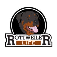 Rottweiler Life(@rottweilerlife) 's Twitter Profile Photo