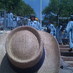 Claire Green (@greenviewpoint) Twitter profile photo