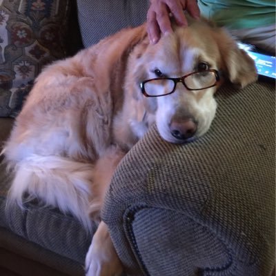 Trvlagnt64's profile picture. Travel=Life