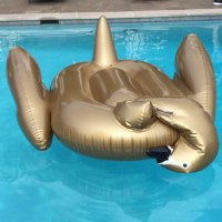 DrunkThinx (@drunkthinkz) 's Twitter Profile
