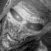 AlienMummy's profile picture. 