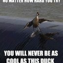 Ryan Parris - @Ryanstinator457 - Twitter