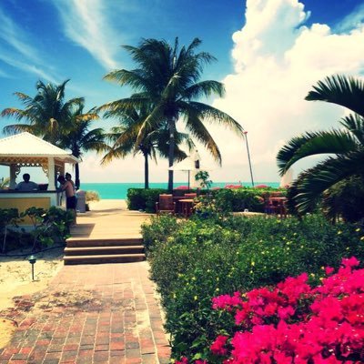 thenirm's profile picture. Loves the beach and good deals