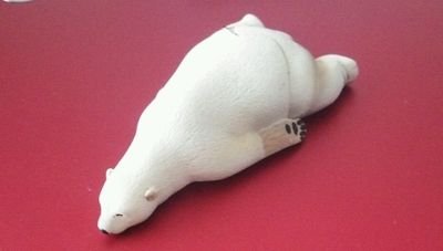 白木いとさんのプロフィール画像