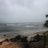 garry_mckevett's profile image