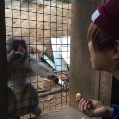 yuuuukiiii0331's profile picture. 