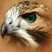 الجوراني (@a50857799) Twitter profile photo الجوراني (@a50857799) Twitter profile photo