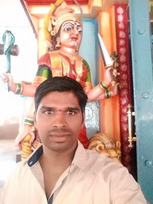 bandarimahes's profile picture. 