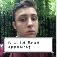 Brad Chis (@poketrainerbrad) 's Twitter Profile