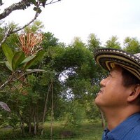 José. 川島 良彰 (@josecafeto) 's Twitter Profile