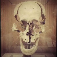 一颗爆炸的头 (@skull_bomb) 's Twitter Profile