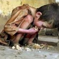POVERTY IS A CRIME ❌ 🇵🇸🇷🇺❤️✌️🗽(@Onrecht_Armoede) 's Twitter Profile Photo