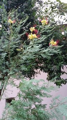 songuldemirta's profile picture. kitap candır. Doğal beslenme mühim. siyaset fani adalet baki