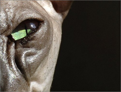 TrastMe's profile picture. 