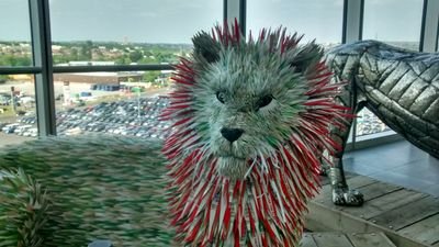 drmel57's profile picture. 