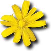 Amiga Forever (@amigaforever) 's Twitter Profile
