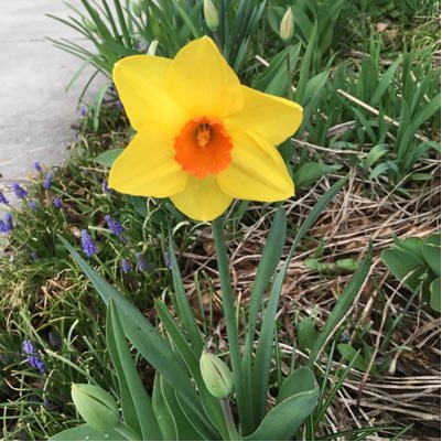 DR_Gillett's profile picture. I have never been to space