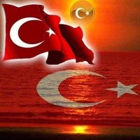 ERSAĞ SERPİL BILDIRCIN (@kerembldrcn1) 's Twitter Profile