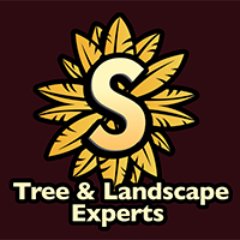 Professional Tree Care Services CA