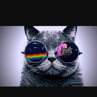 AlecTheKing0915's profile picture. Sports College Football College Basketball NBA