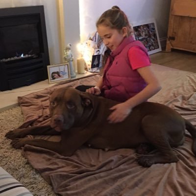 Dog walking service around South-West London. https://t.co/KBZXQV6DSP