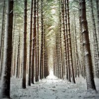 Exploring NWO (@exploringnwo) 's Twitter Profile