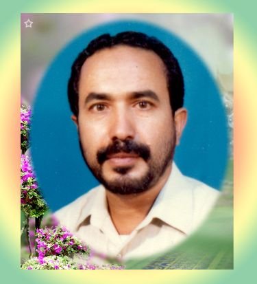 ll2009l2008's profile picture. 