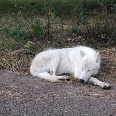 nolsen6's profile picture. 