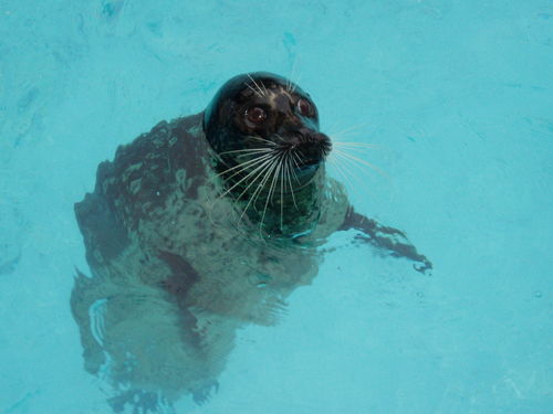 pattikrueger's profile picture. 