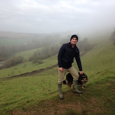 willfoers's profile picture. 