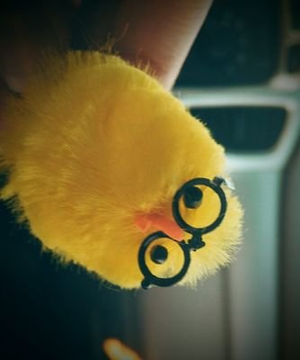 obsidianlacey's profile picture. Just an average citizen of the world. I enjoy learning new things, creating new things, reading, and travel! Life is just great!