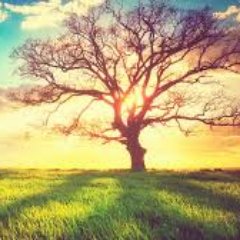 FIRSTGAME3's profile picture. Life is a game and true love is a trophy. Rufus Wainwright