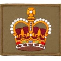 Course Sergeant Major, Warrant Training Team, Warrant Officer and Non Commissioned Officer Academy.