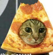 FuckinPizzaCat's profile picture. Vamo a deprimirno.