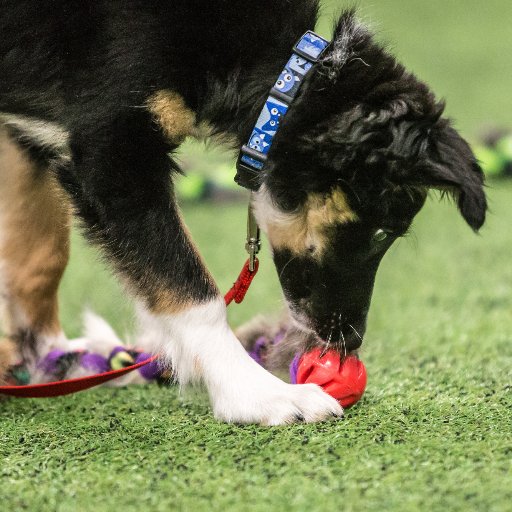 TugAwayCuwin's profile picture. 