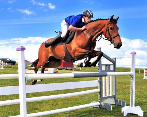 LouisburghShow's profile picture. 