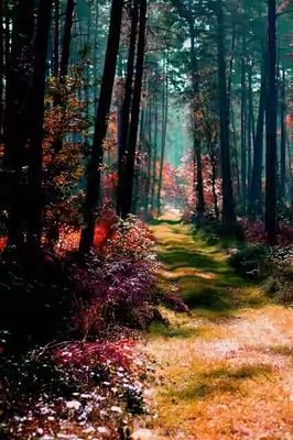 bharanihsc1's profile picture. Theri baby