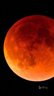 Lnn_06's profile picture. breathing gratitude :) spreading smiles.. ;)