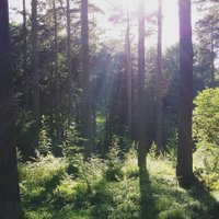 KCNRN (@info_kcnrn) 's Twitter Profile