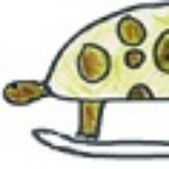 Surfing Turtle provide simple digital solutions for small and medium enterprises in the UK