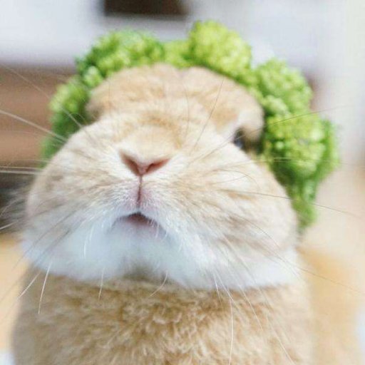 misstusi's profile picture. 不計形象 只求片刻的自然