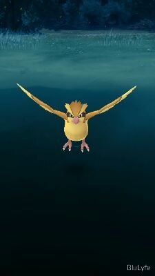 YouKnoTheRules's profile picture. 