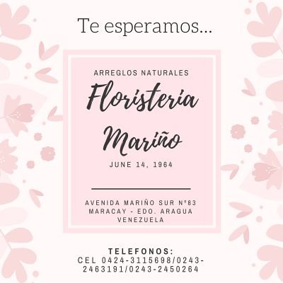 La Inolvidable Magia...
Contactanos: PIN 222F8E6C.   0243-2463191/ 2456646 Correo: FloristeriaMarino@gmail.com