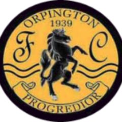 Orpington Ladies FC. League winners Kent Div 2 2017/18 @SECWFLnews   orpingtonladiesfc@outlook.com