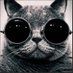 Alessandro Tavares (@alestav) Twitter profile photo
