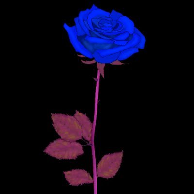 dicebox_j's profile picture. 