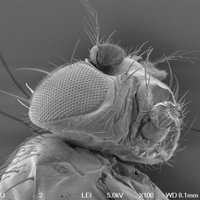 SalehLab (@salehlabparis) 's Twitter Profile Photo SalehLab (@salehlabparis) 's Twitter Profile Photo